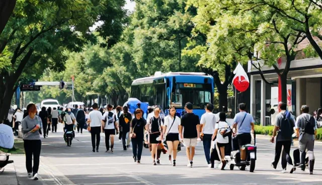 供求发布套餐：性能与适用条件的比较分析